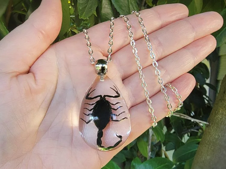 Luminous Real Scorpion Necklace Vintage Resin Insect Beetle Spider Amber  Pendant Rope Chain Necklaces Glow in Dark Jewelry - AliExpress