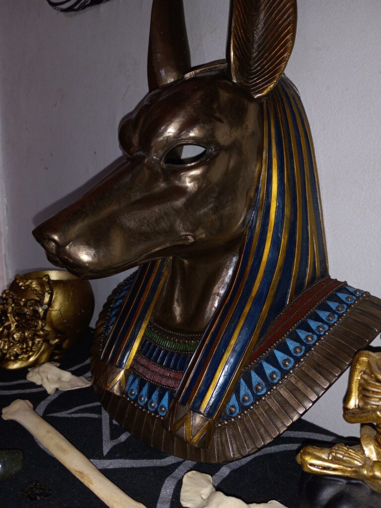 Image #3 from Marisa Hull