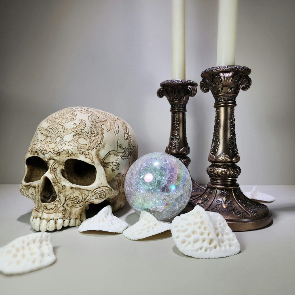 Oddities and Curiosities Decor For Sale, Gothic Decor