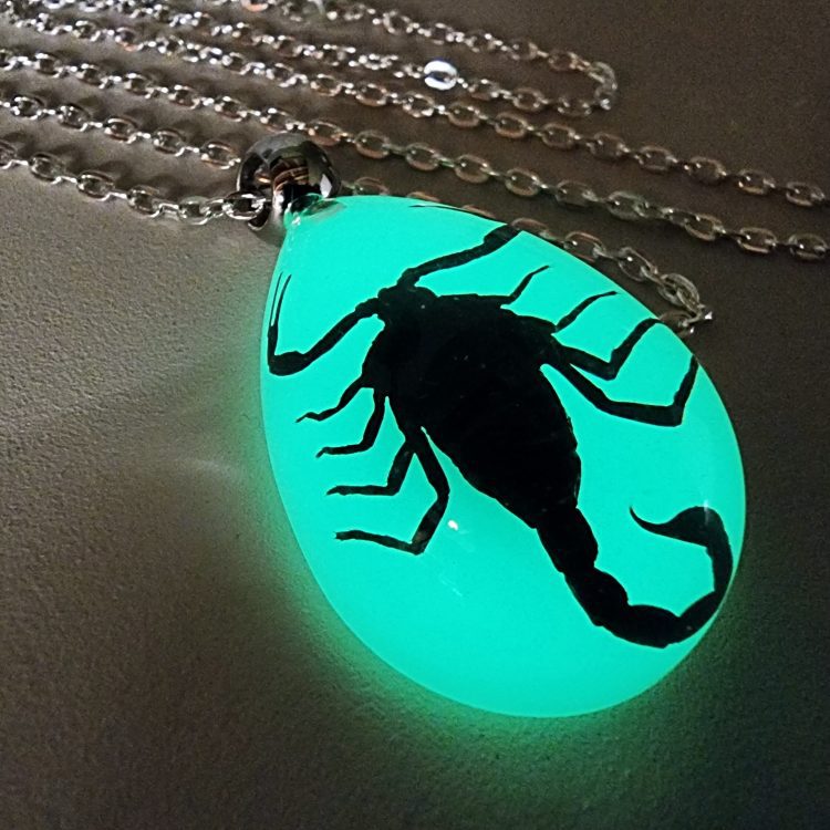 Glow-In-The-Dark-Scorpion Necklace, Real Scorpion Jewelry, Scorpion Pendant