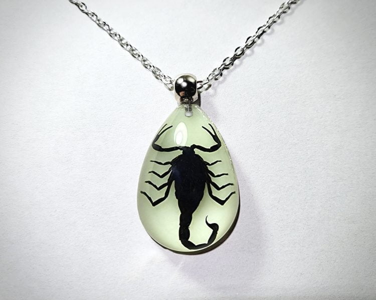 Glow-In-The-Dark-Scorpion Necklace, Real Scorpion Jewelry, Scorpion Pendant