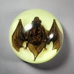 Real bat in Resin, Glow-In-The-Dark Bat, Bat in Dome