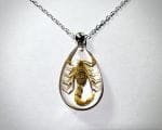 Real Scorpion Necklace, Yellow Scorpion In Resin, Real Scorpion Pendant, Insect Jewelry