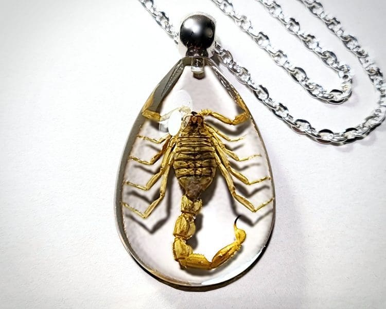 Real Scorpion Necklace, Yellow Scorpion In Resin, Real Scorpion Pendant, Insect Jewelry