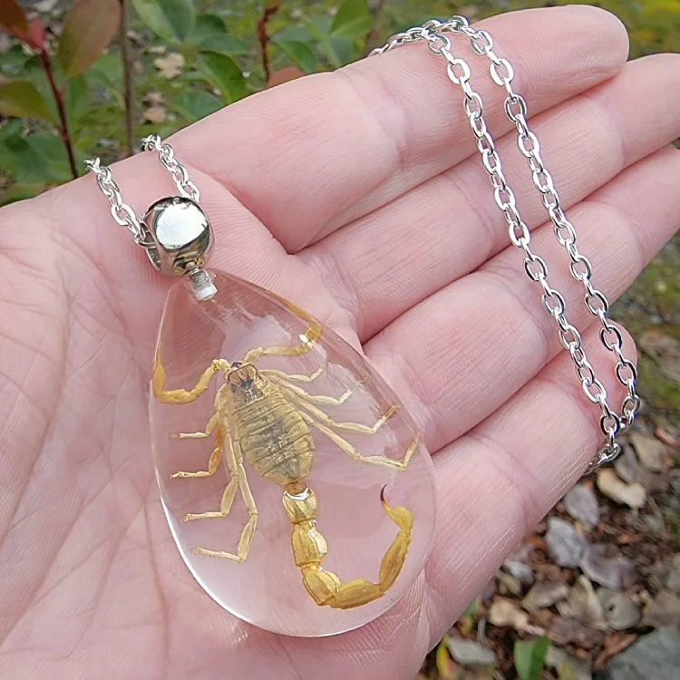 Black Scorpion Clear Resin Necklace, Real Scorpion, Heterometrus Spinifer |  eBay