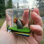 Miniature Diorama, Real Insect Diorama, Tea Bugs In Resin
