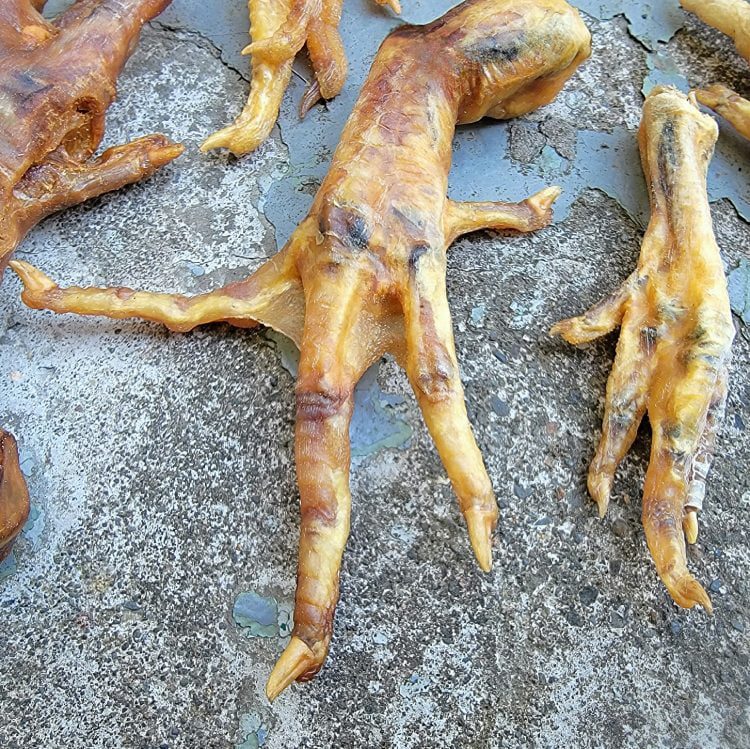 Chicken Feet, Good Luck Charms, Hoodoo, Voodoo, Curiosities, Wicca Supplies