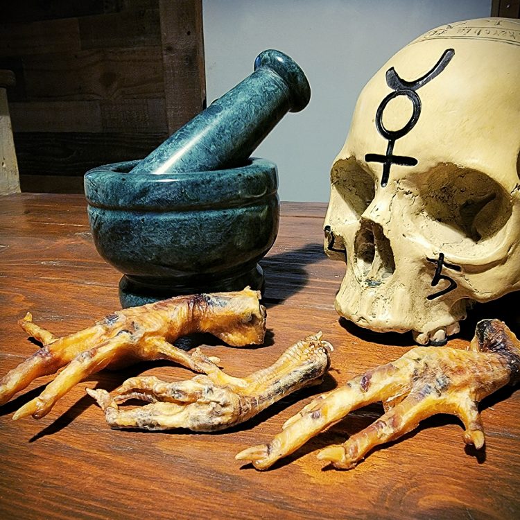 Chicken Feet, Good Luck Charms, Hoodoo, Voodoo, Curiosities, Wicca Supplies