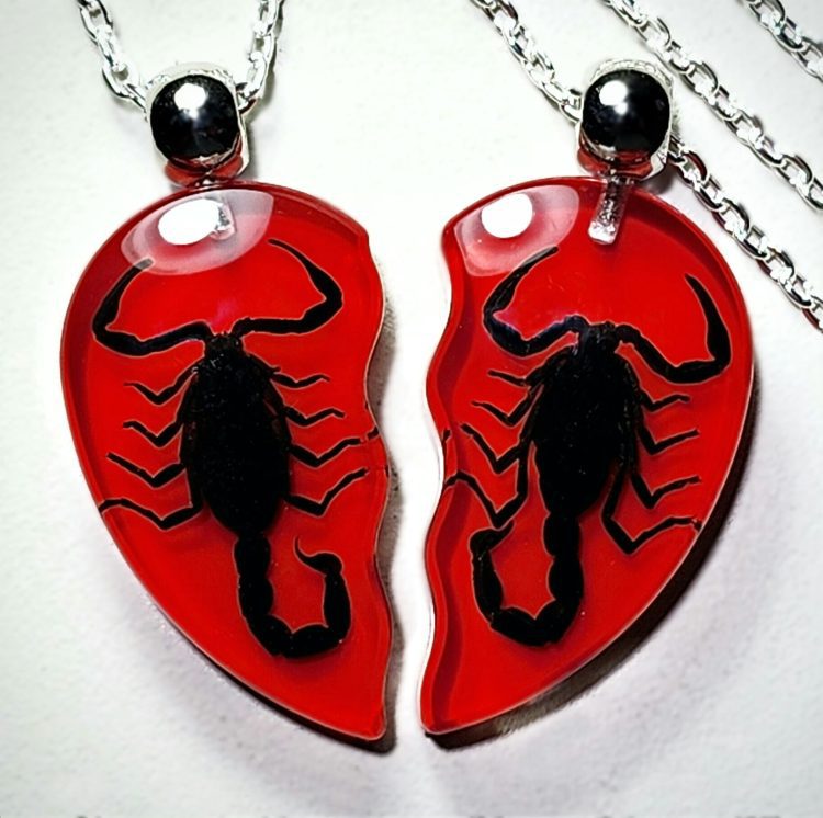 Gothic Gifts, Real Insect Jewelry, Heart Necklace, Scorpion Heart Charm