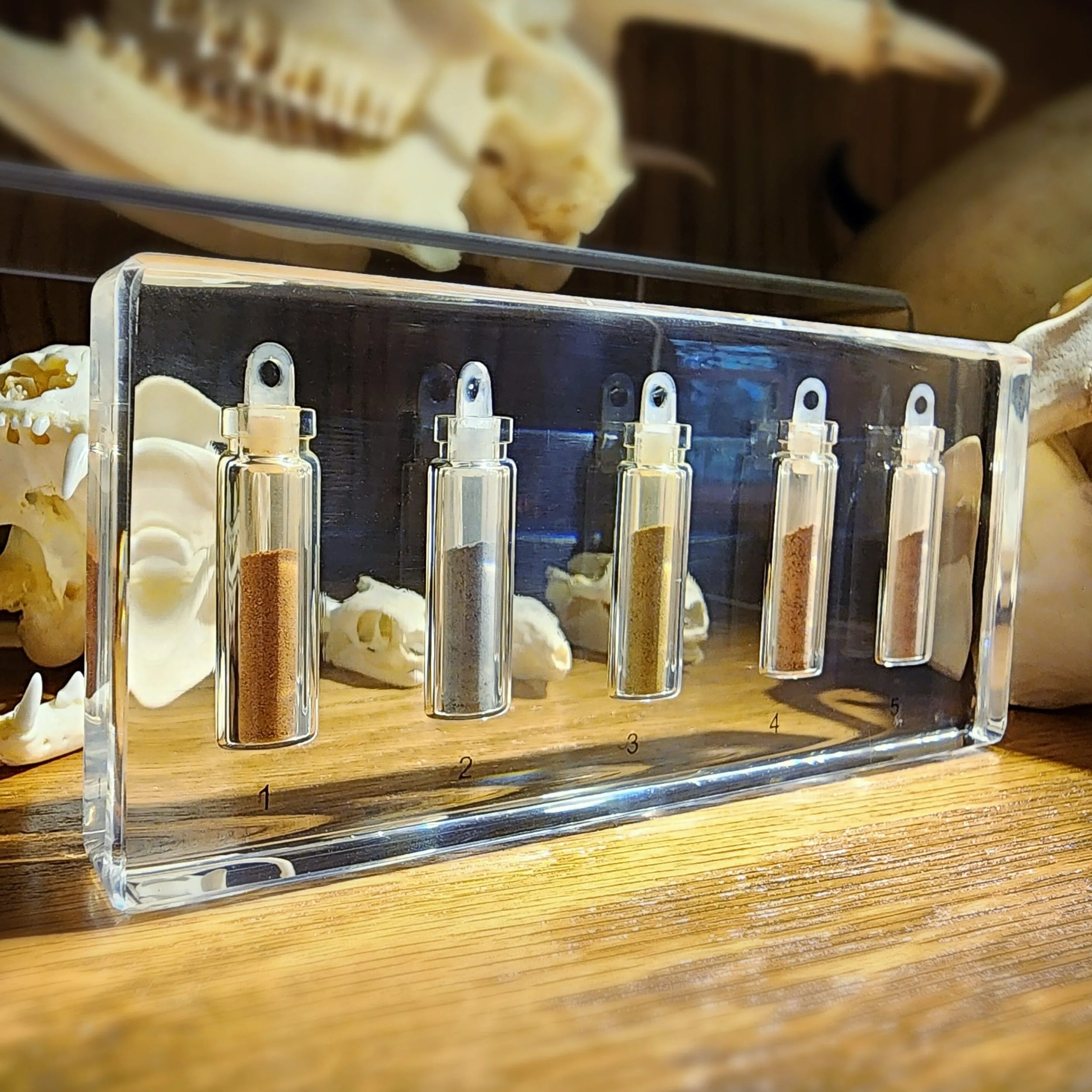 Slide 1 for Soil Sample Collection in Resin, Educational Display