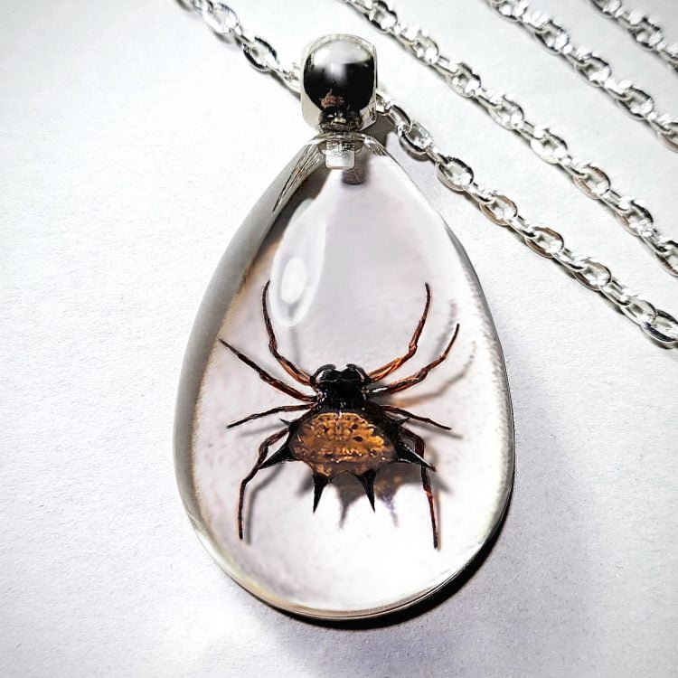 Gothic Jewelry, Real Insect Jewelry, Real Spider Pendant