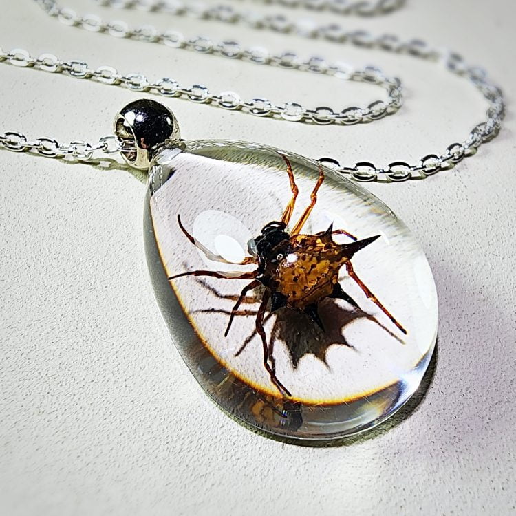 Gothic Jewelry, Real Insect Jewelry, Real Spider Pendant