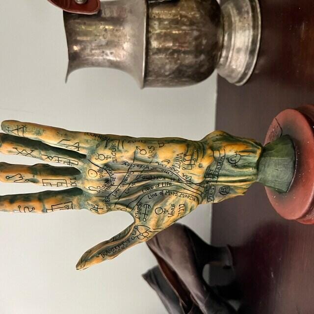 Alchemy Mummified Palmistry Hand – Gothic Fantasy Decor, Model 1916