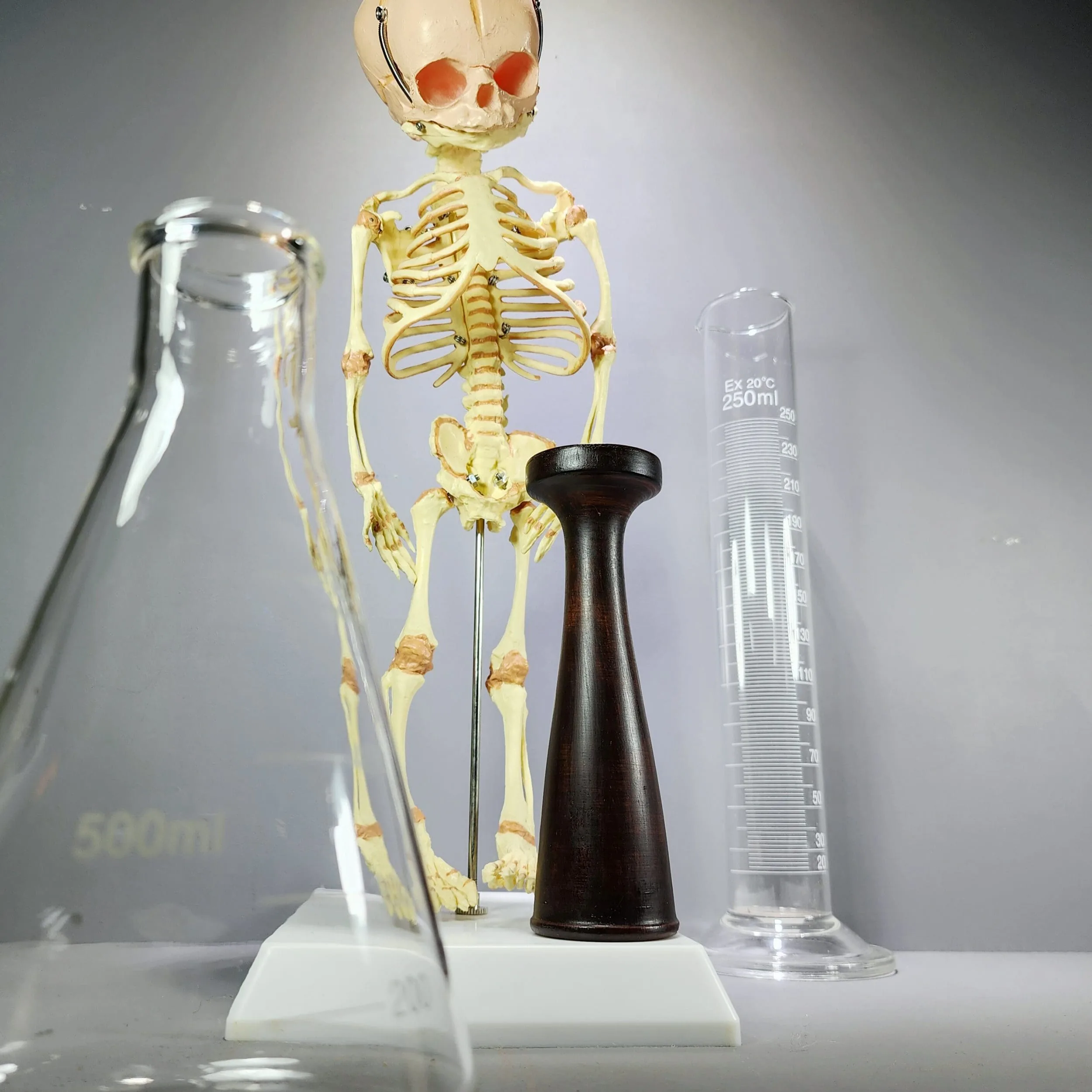 Slide 2 for Pinard Stethoscope, Fetal Stethoscope, Vintage Style Medical