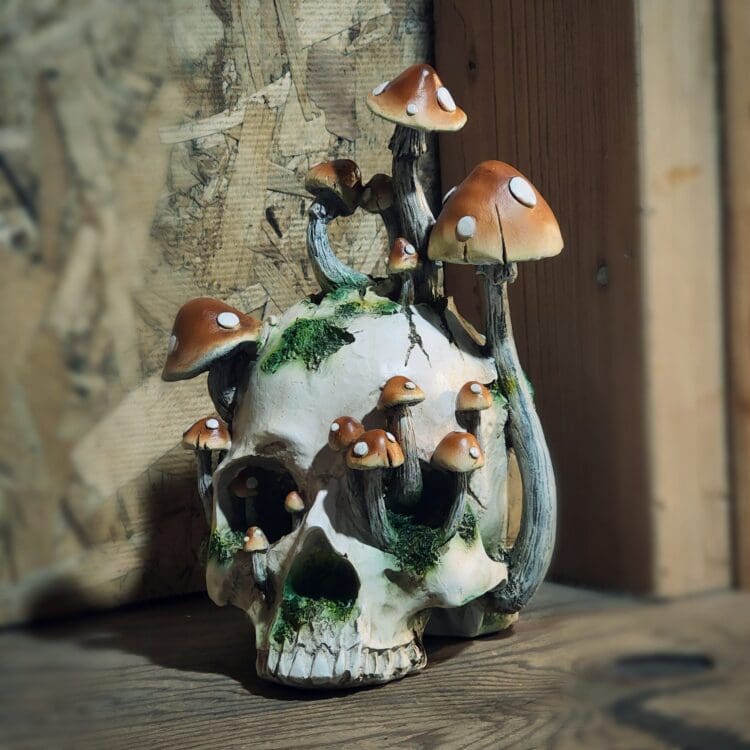 Goblin Core, Mushroom Skull, Curio, Skull decor, Skull with Mushrooms