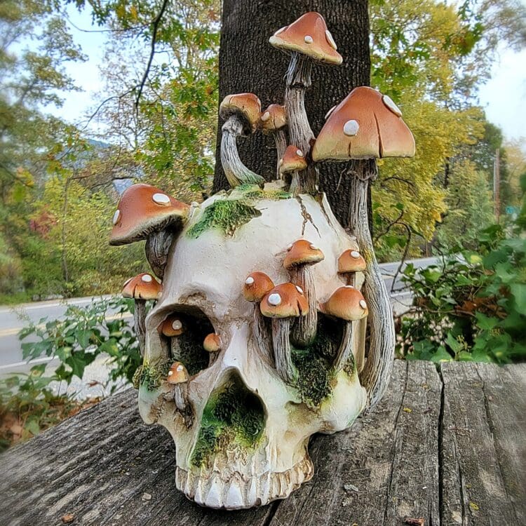 Goblin Core, Mushroom Skull, Curio, Skull decor, Skull with Mushrooms