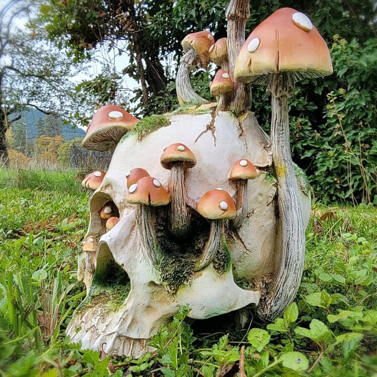 Goblin Core, Mushroom Skull, Curio, Skull decor, Skull with Mushrooms