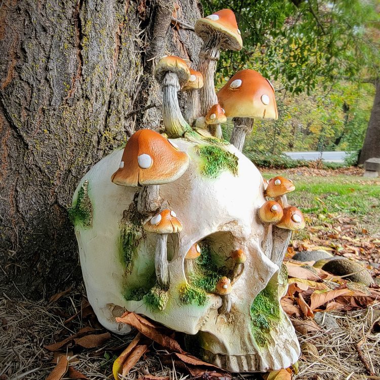 Goblin Core, Mushroom Skull, Curio, Skull decor, Skull with Mushrooms