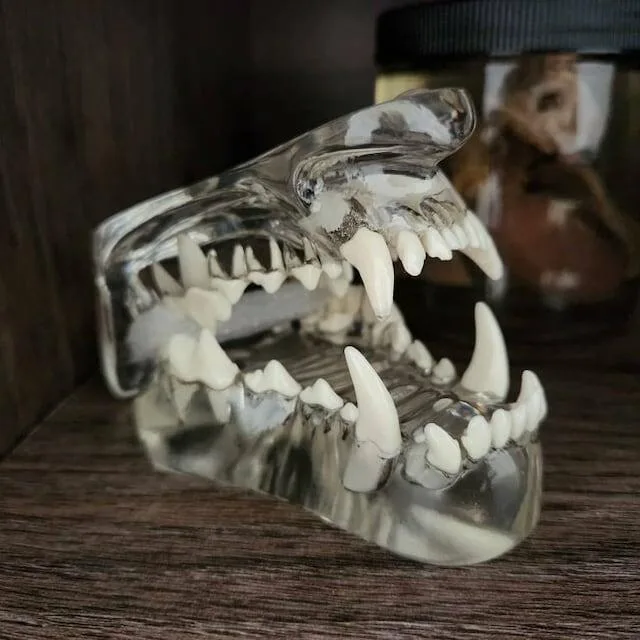 Image #1 from creepydai