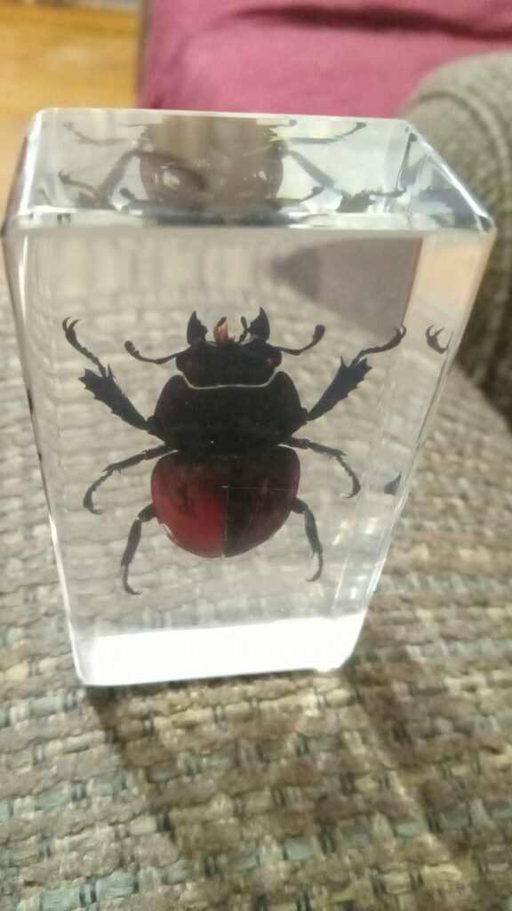 Image #1 from Kimberly Blankenship