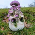 Mushroom Skull, Goblincore Decor, Skull with Purple Mushrooms