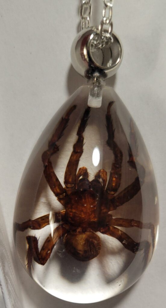 Image #1 from Alyssa McRae