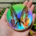 iridescent Butterfly Paperweight, Rainbow Dome Butterfly, Butterfly Gifts