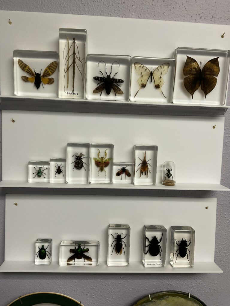 Image #1 from Lea Gordinier