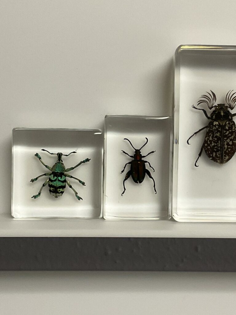 Image #2 from Lea Gordinier