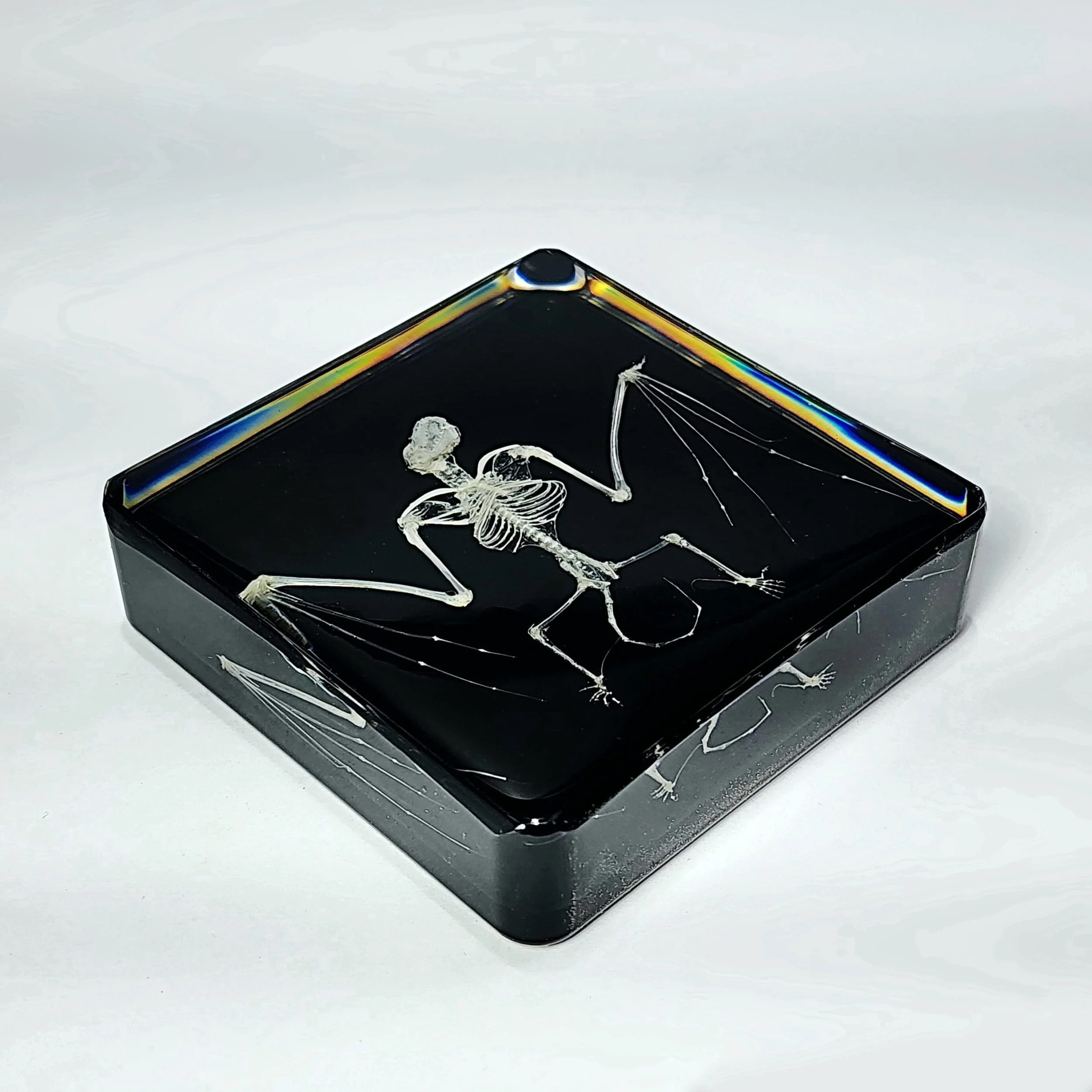 Slide 2 for Bat Skeleton in Resin, Black Background, Common Pipistrelle