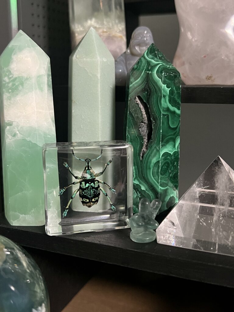 Image #1 from Nicole