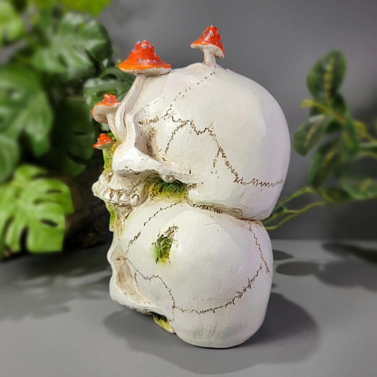 Mushroom Skull, Goblincore, Mushroom Decor, Skull Decor