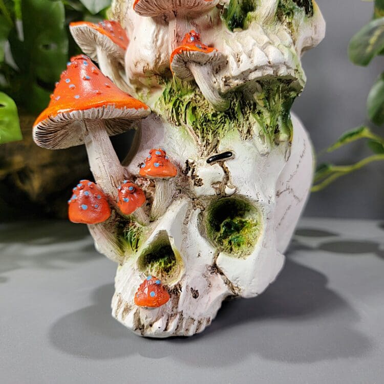 Mushroom Skull, Goblincore, Mushroom Decor, Skull Decor