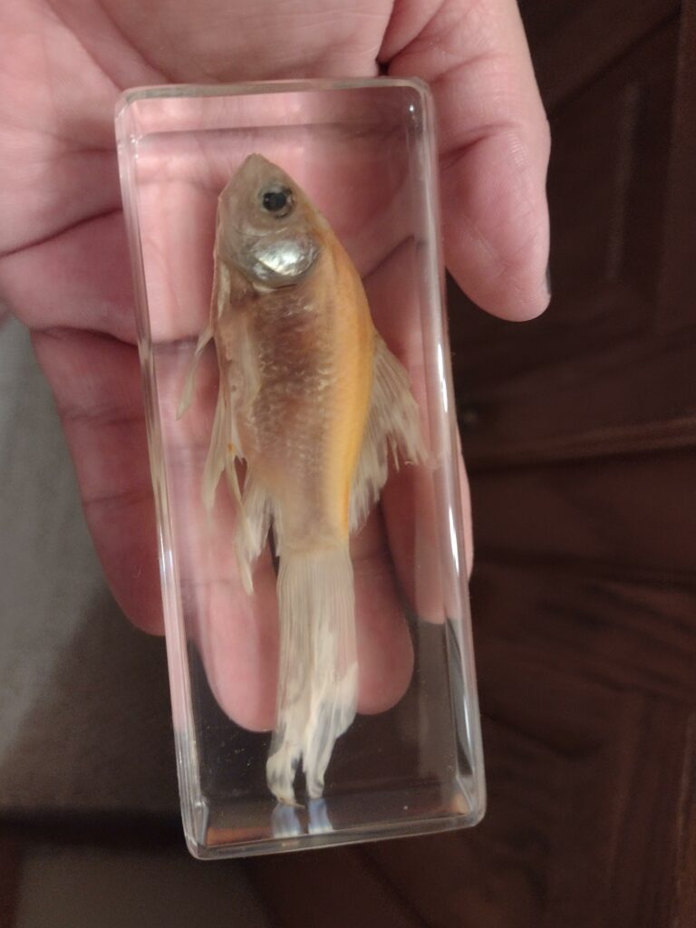 Image #1 from Maria G.