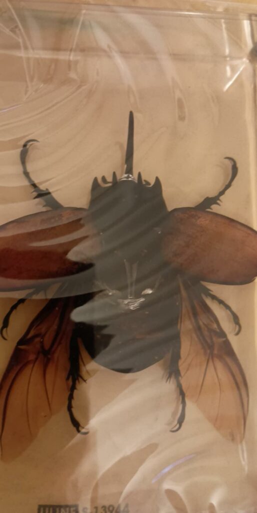 Image #1 from Michelle B