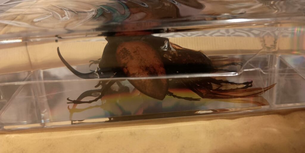 Image #2 from Michelle B