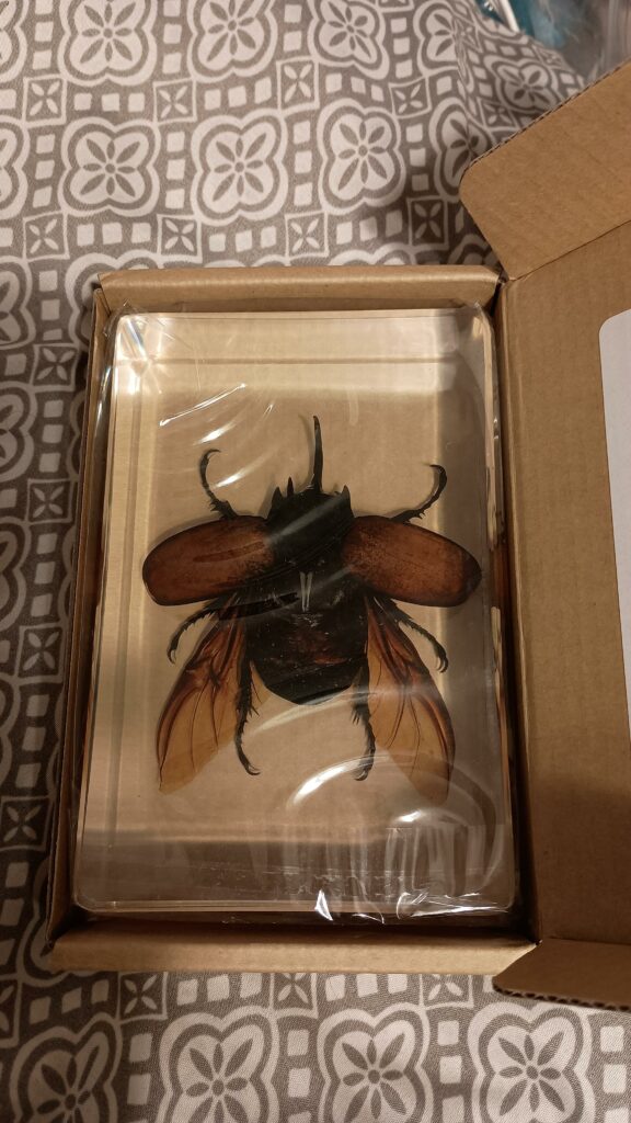 Image #3 from Michelle B