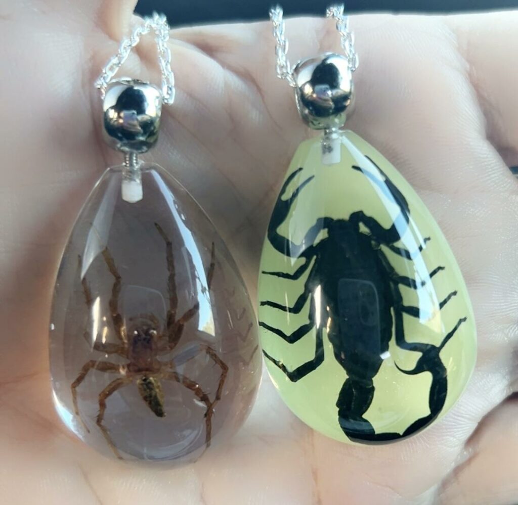 Image #1 from Judy Matson