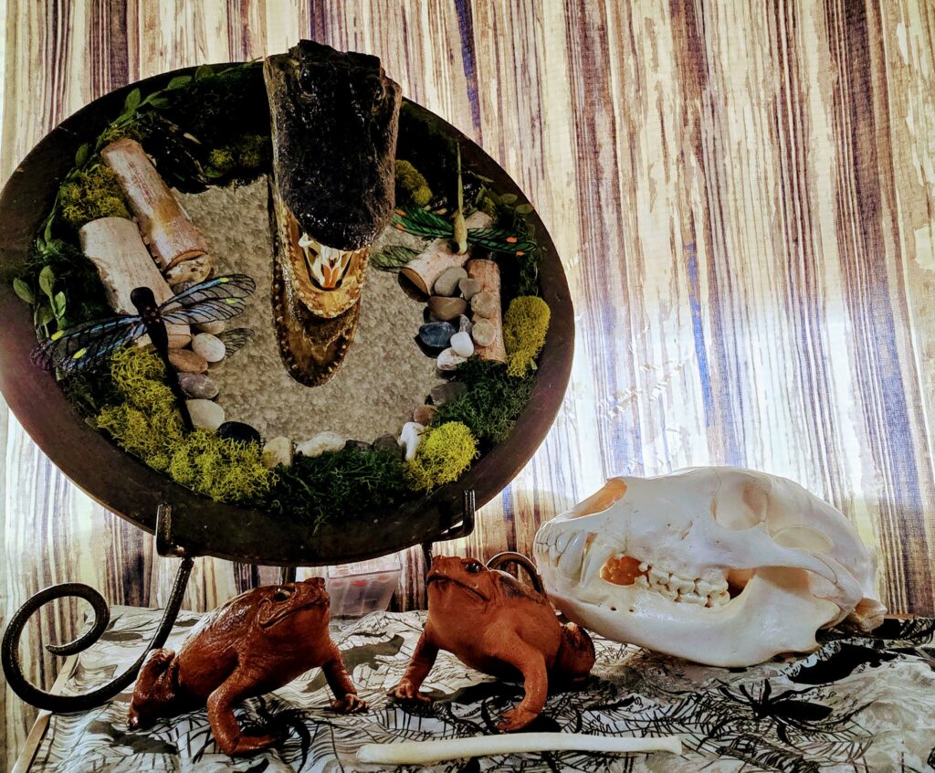 Image #1 from Alyssa McRae