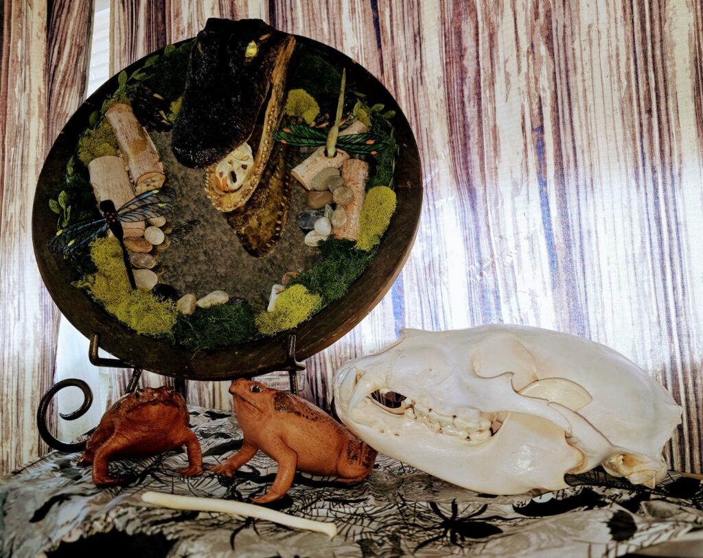 Image #2 from Alyssa McRae