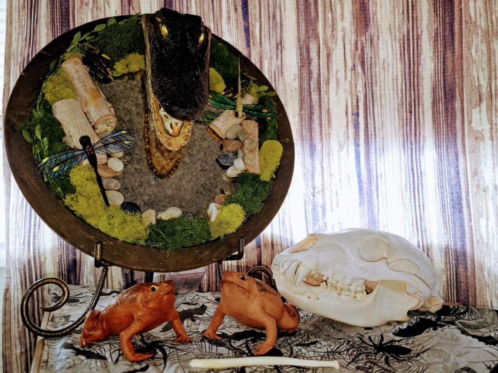 Image #3 from Alyssa McRae