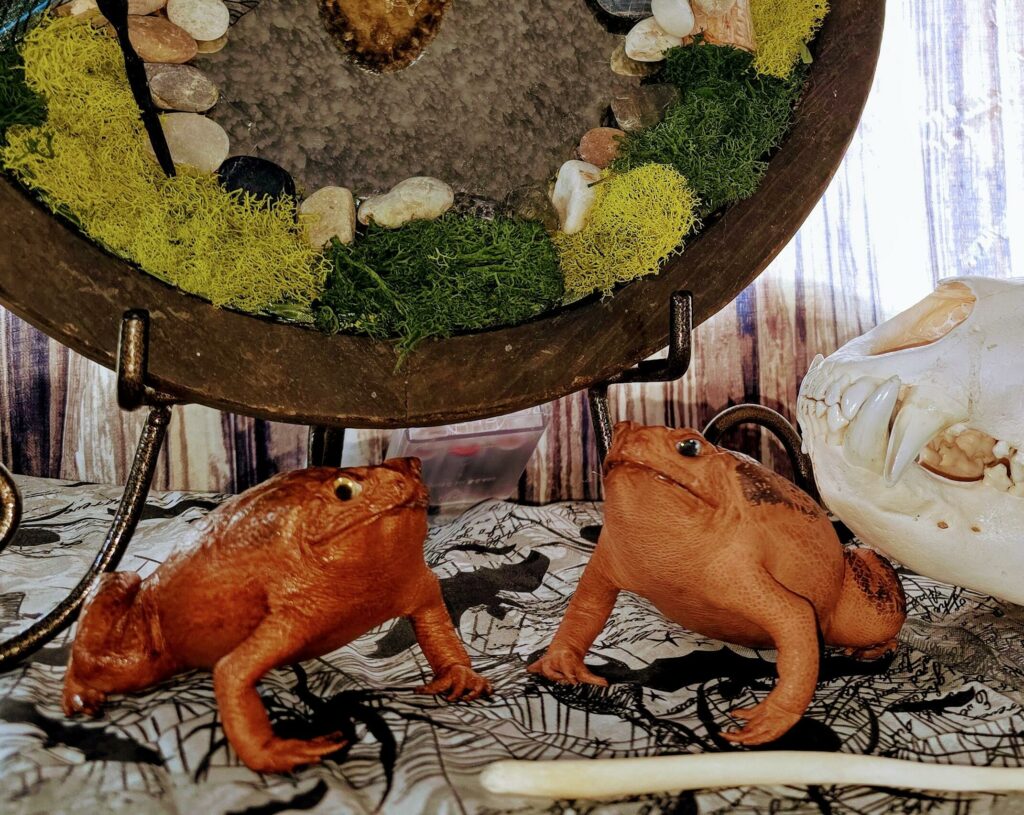 Image #4 from Alyssa McRae