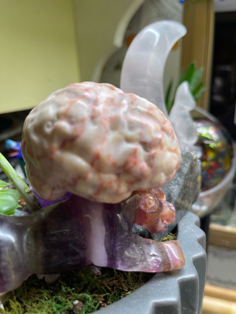 Image #1 from Vicki Riverman