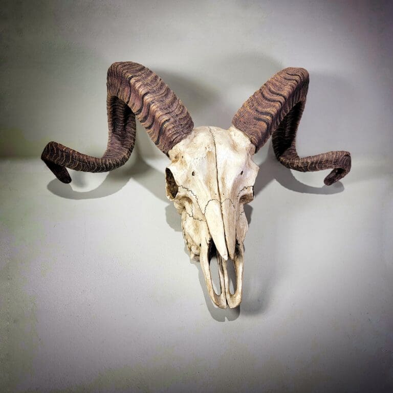 Slide 1 for Ram Skull Wall Statue, Faux Corsican Sheep Skull
