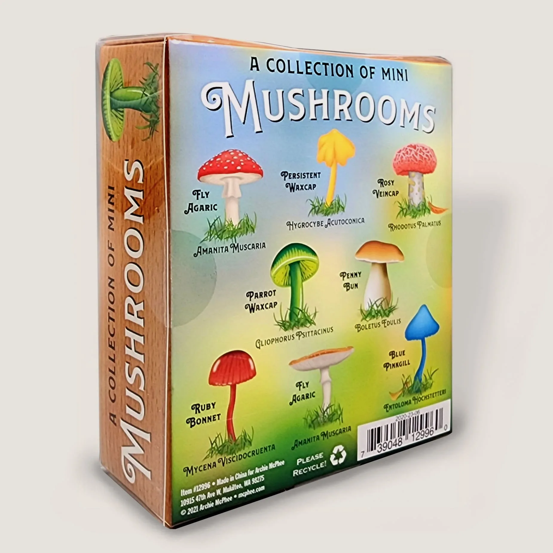 Slide 3 for Mini Mushroom Goblincore Collection, Set of 8 Tiny Mushrooms