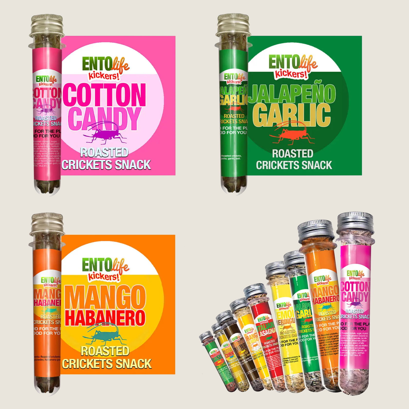 Slide 2 for Edible Insects, Flavored Cricket Tube Varity Pack