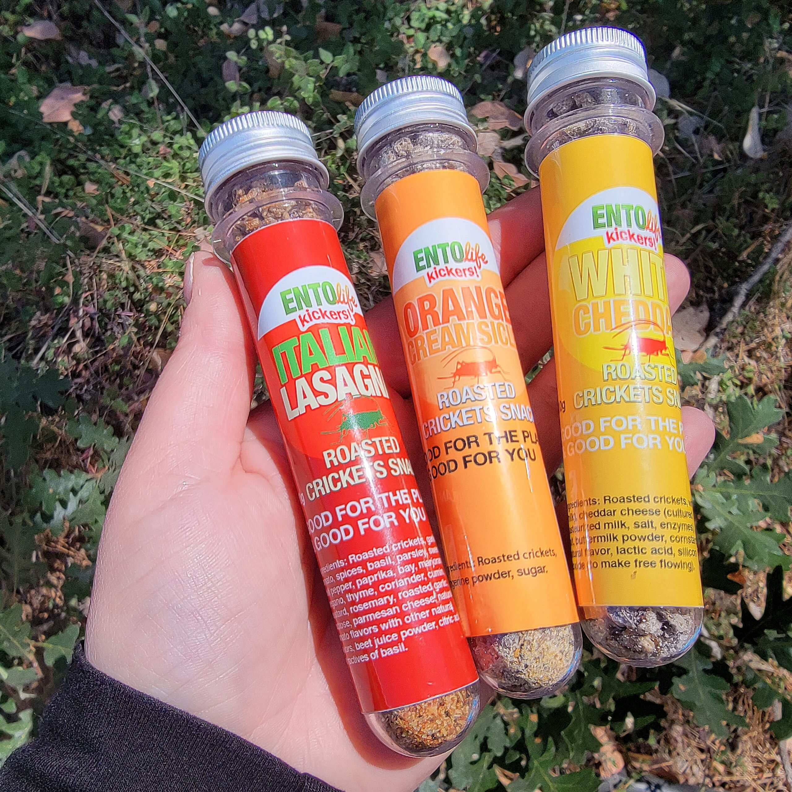 Slide 4 for Edible Insects, Flavored Cricket Tube Varity Pack