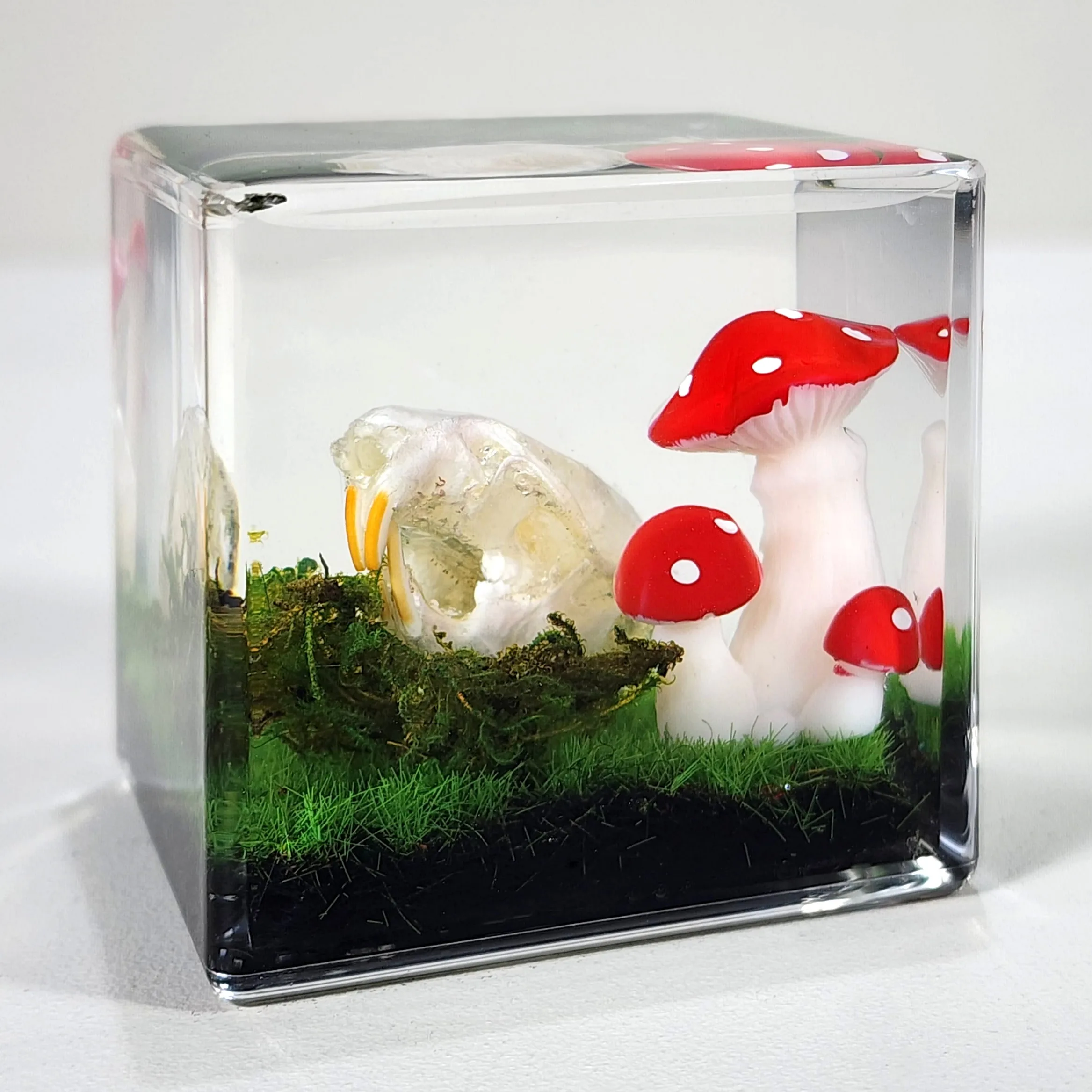 Rat Skull with Mushrooms in Resin, Goblincore Diorama, Real Rat Skull, Mushroom Skull