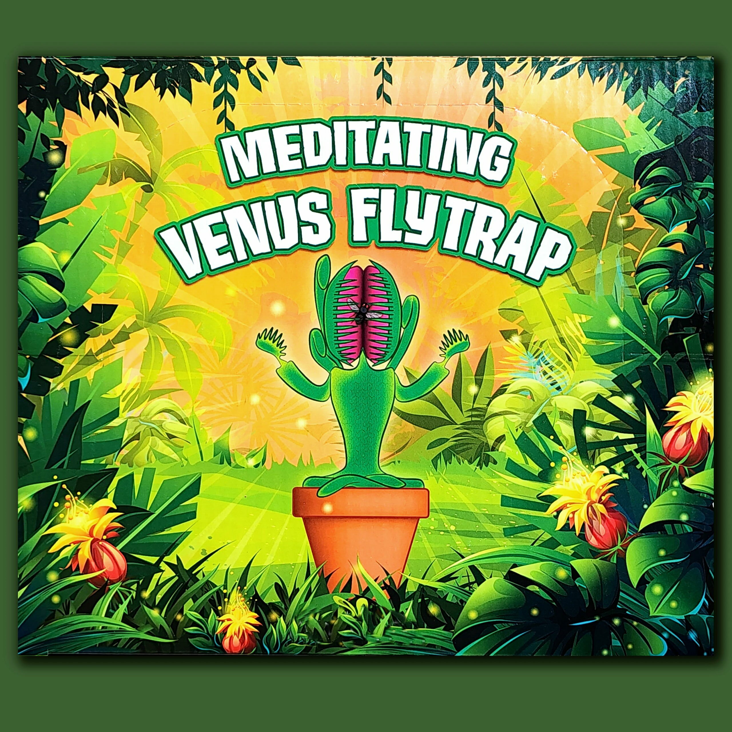 Slide 2 for Meditating Venus Flytrap Toy Set