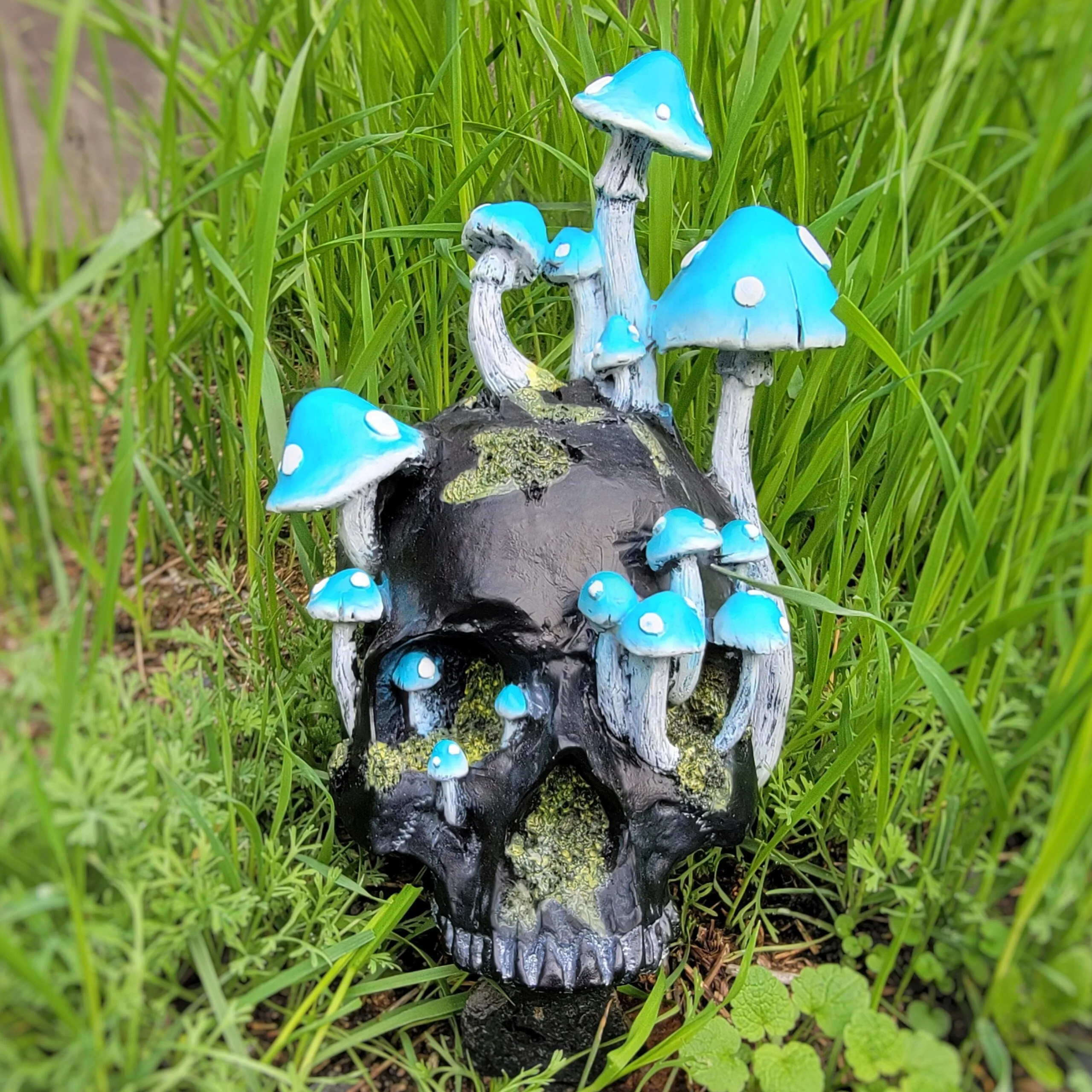 Slide 1 for Blue Mushroom Black Skull, Verdigris agaric, Oddities Decor